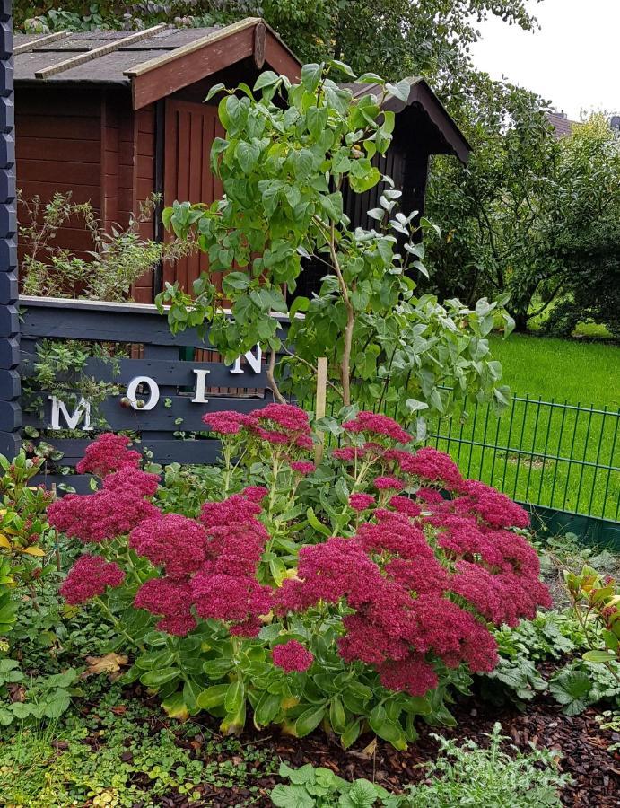 *weigelt - Issy Greetsiel